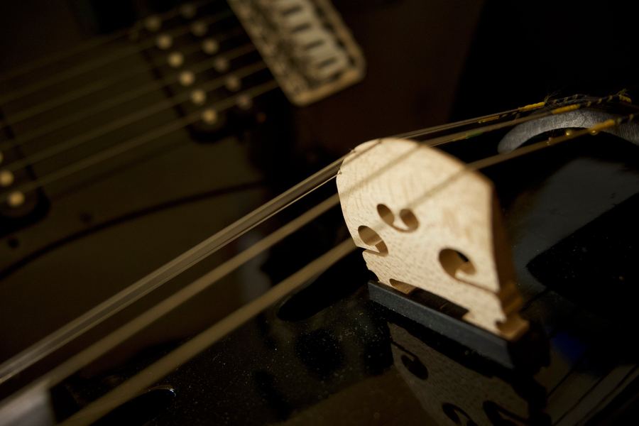 Close detail of a viola bridge and strings in warm light.