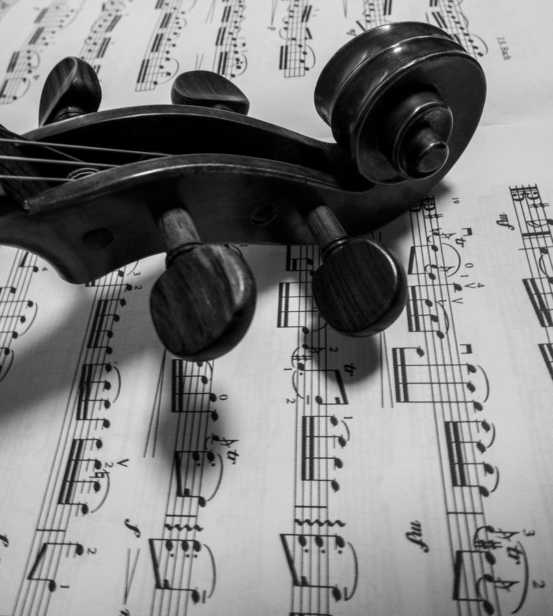 The scroll and pegbox of a viola resting on sheet music, in black and white.